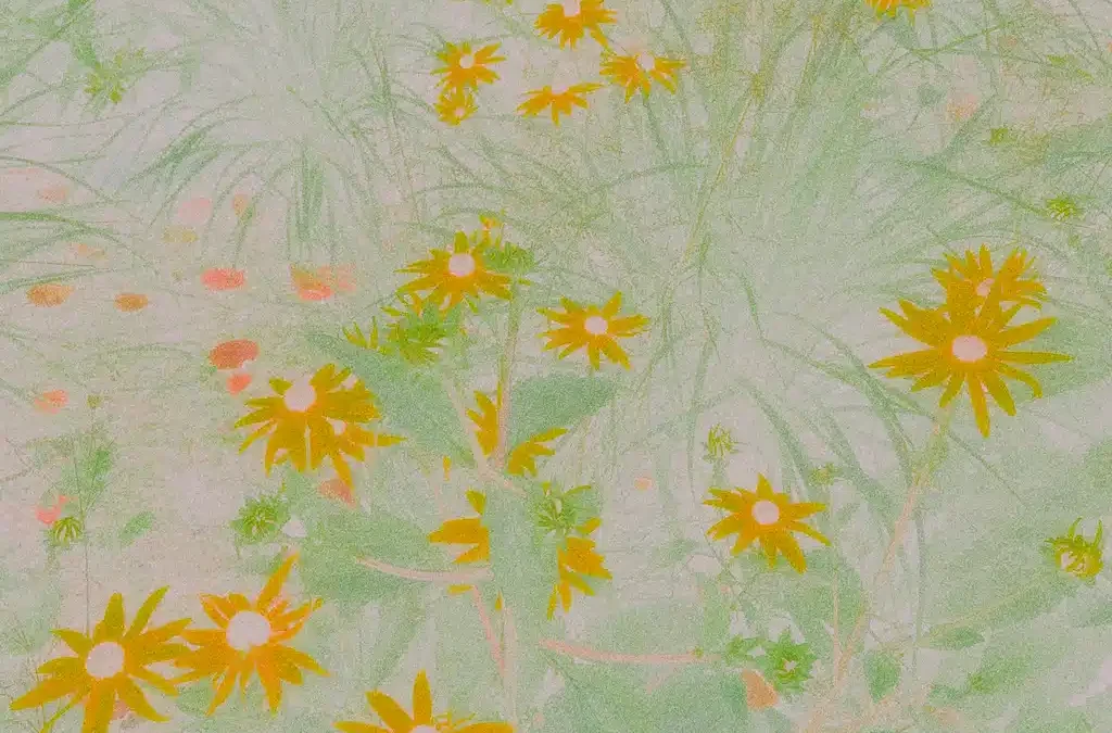 Floral Silhouettes . . .